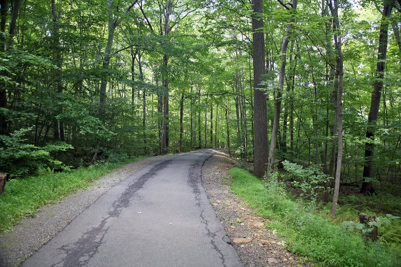 Country Road in The New Jersey Skylands