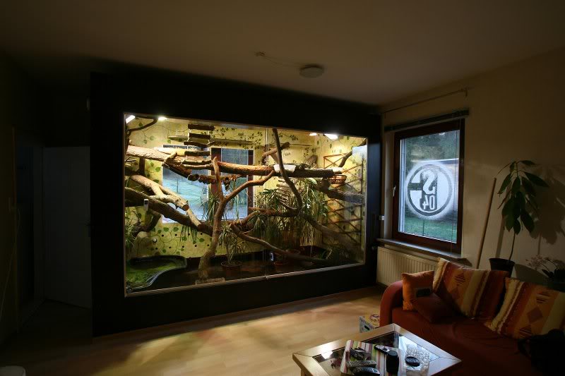 terrarium 02.02.2008