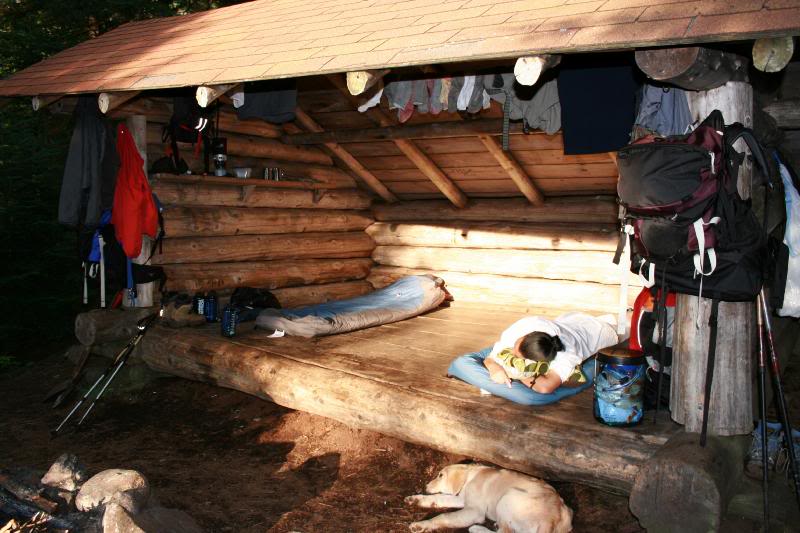 NAPPING IN THE LAST SUNLIGHT