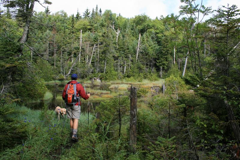 STARTING OUT AFTER THE RAINS