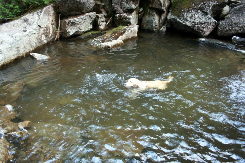 SWIMMIN HOLE IN SANTANONI BROOK