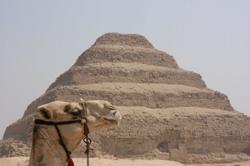 The Step Pyramid - Saqqara