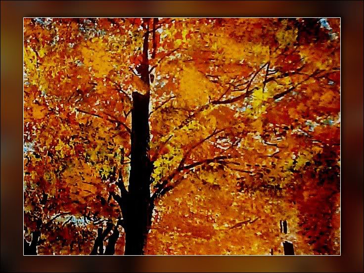 Another Season Watercolor Painting by Pam Houle