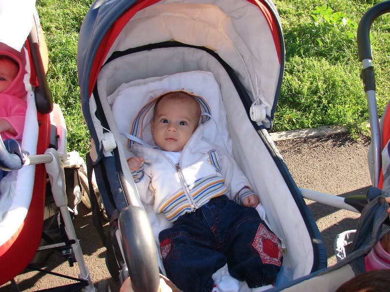 Cosmin de Piticasigogosic a