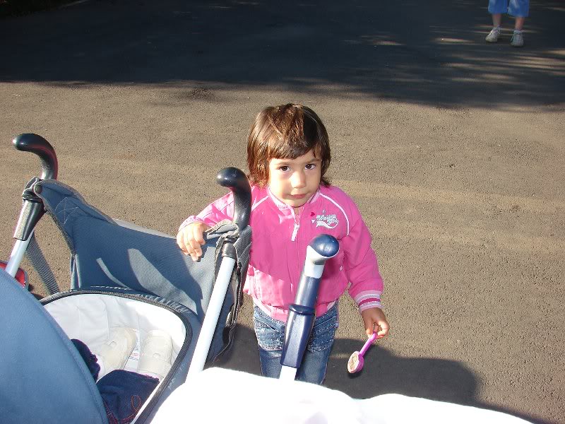 Iris de Piticasigogosic a