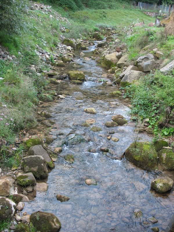 Paraul care izvoraste din Pestera Vantului