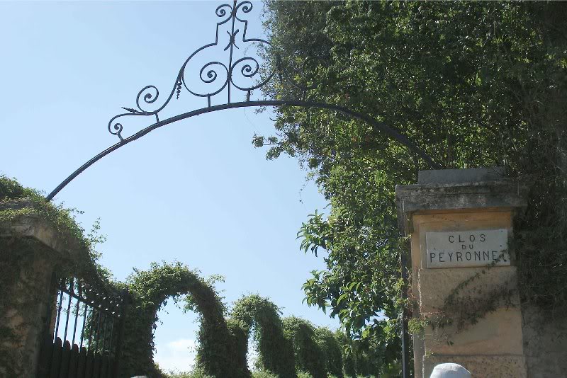 Clos Peyronnet - dsc03173