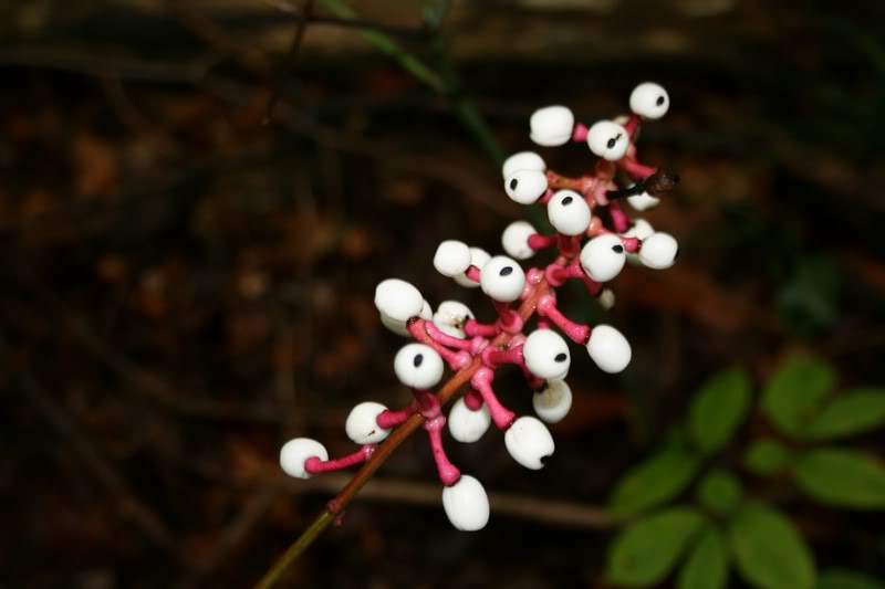 Hunter--Leavitt September 10 2007