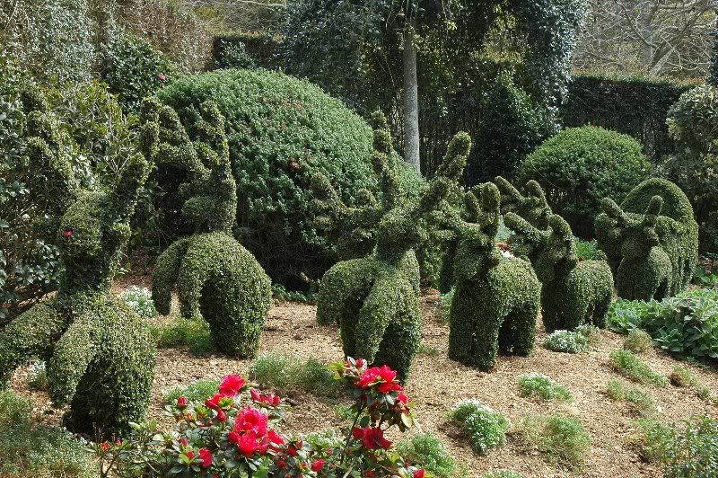 enchanted maze gardens 5