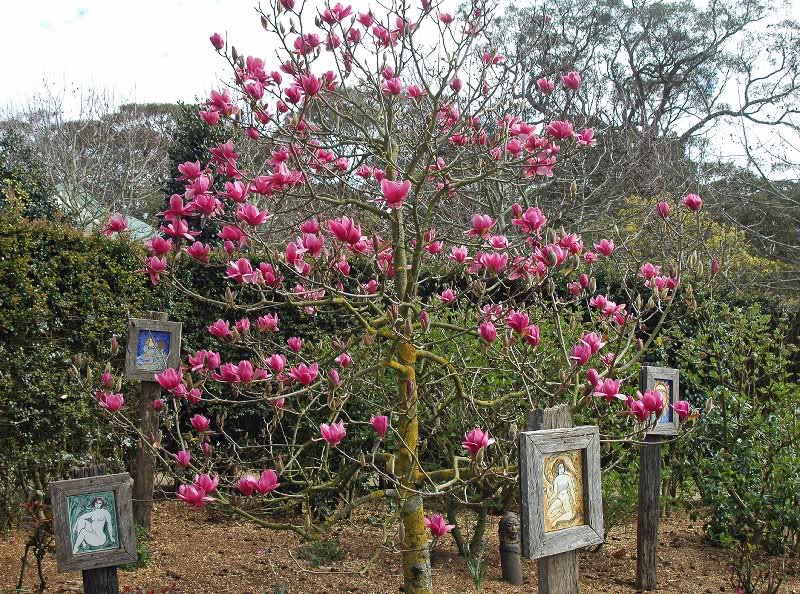 enchanted maze gardens 7