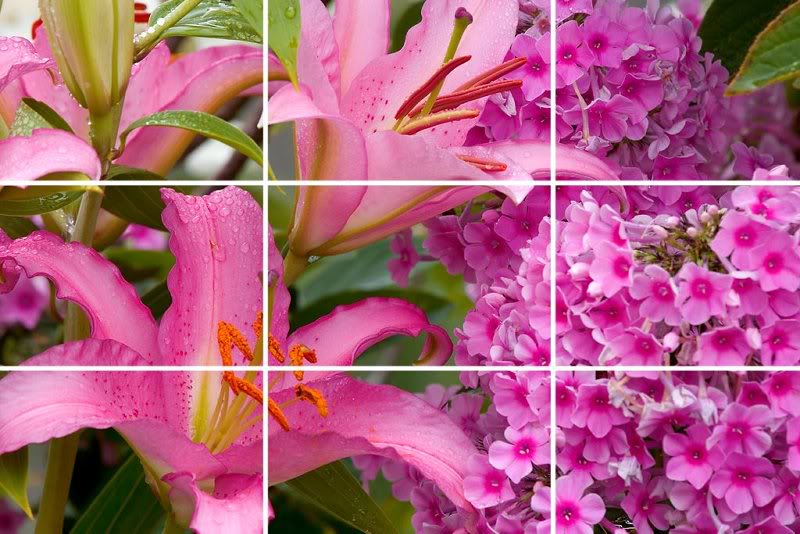 rule-of-thirds- close-up