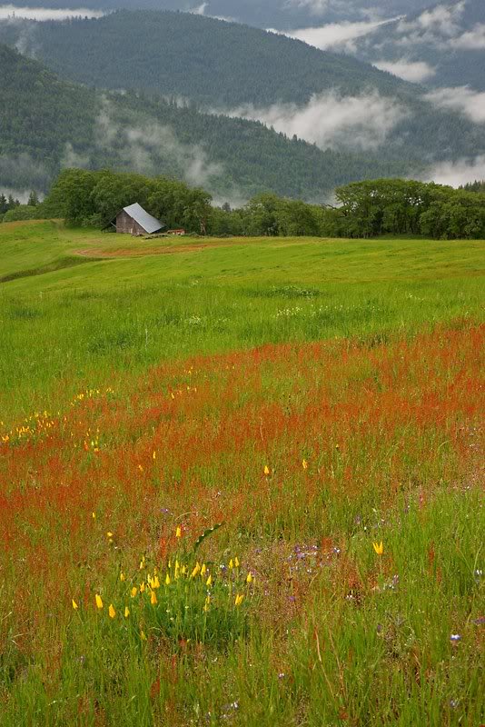 rule-of-thirds- vert