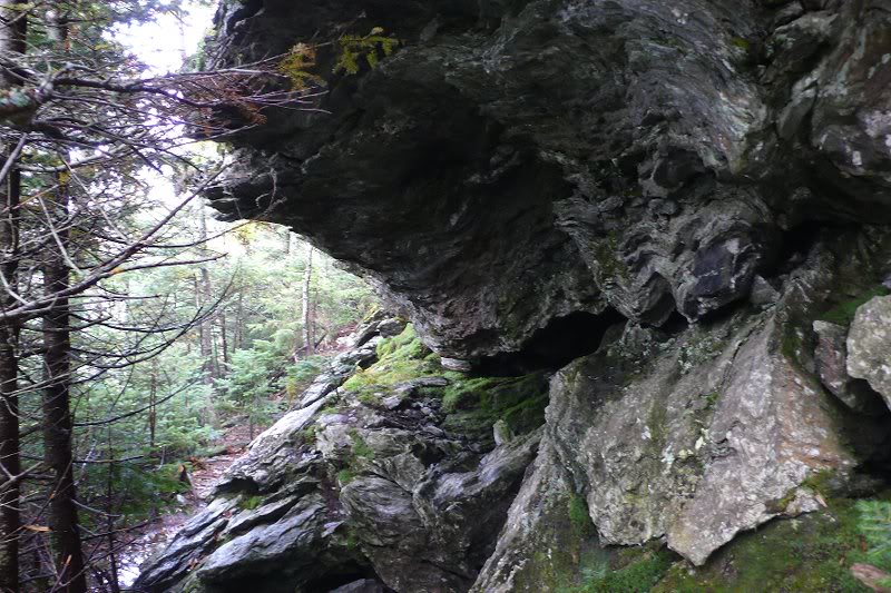 Along the Laura Cowles Trail