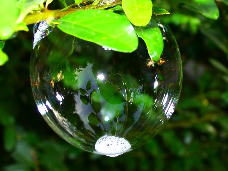 bubble reflections.... much better view if you look at i...