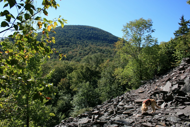 TWIN MT FROM THE QUARRY