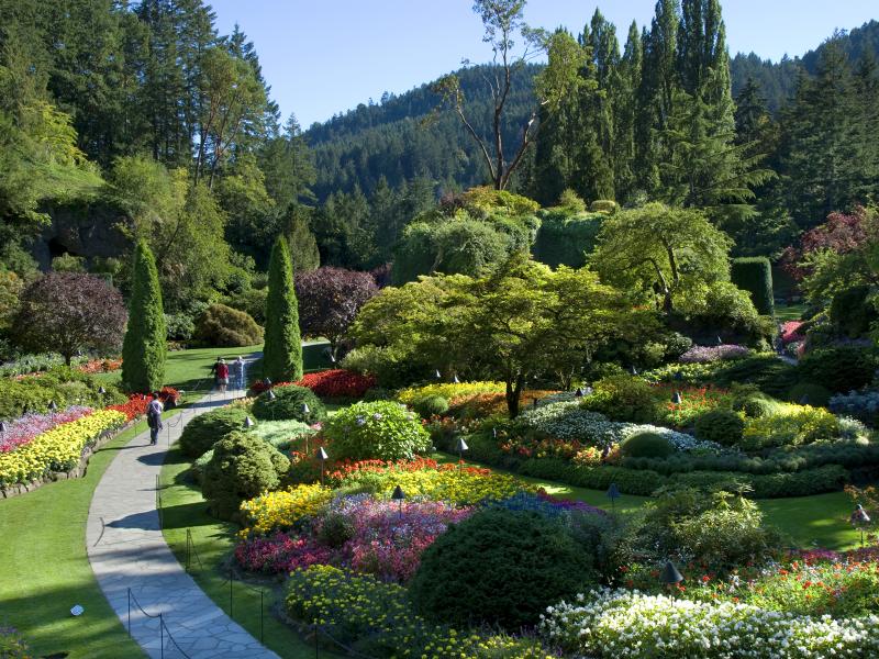 THE SUNKEN GARDEN