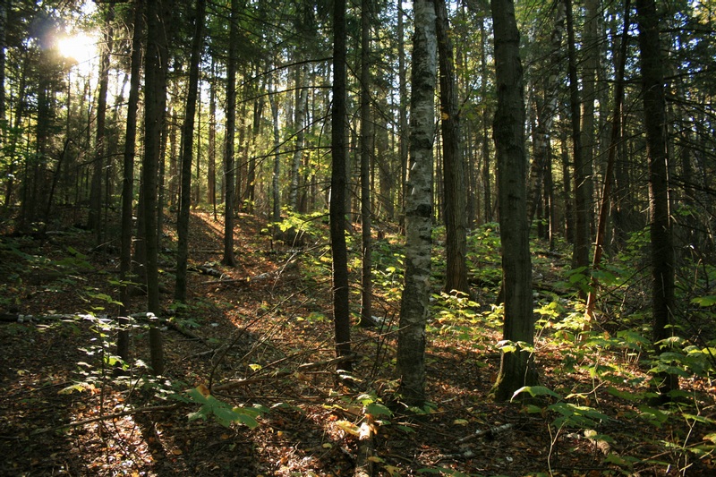 Burnt Knob and Windham High Peak September 24 2007