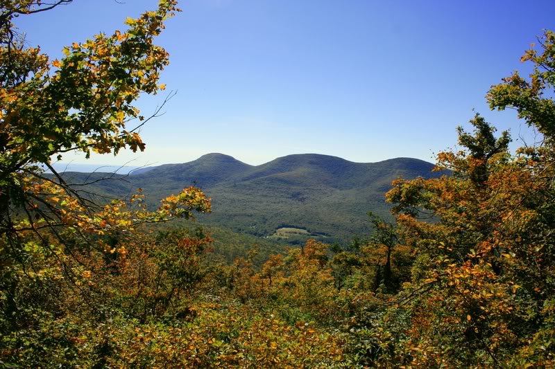 BLACKHEADS FROM WINDHAM HP