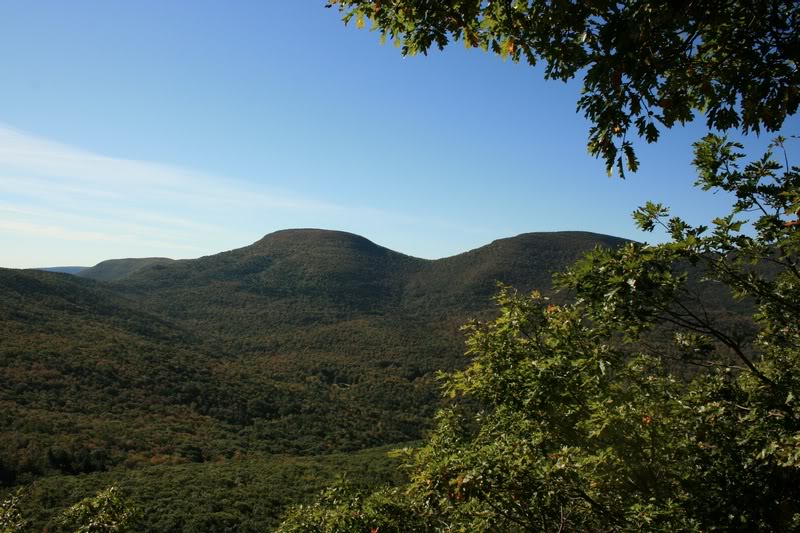 C-BLACKHEAD AND BLACK DOME