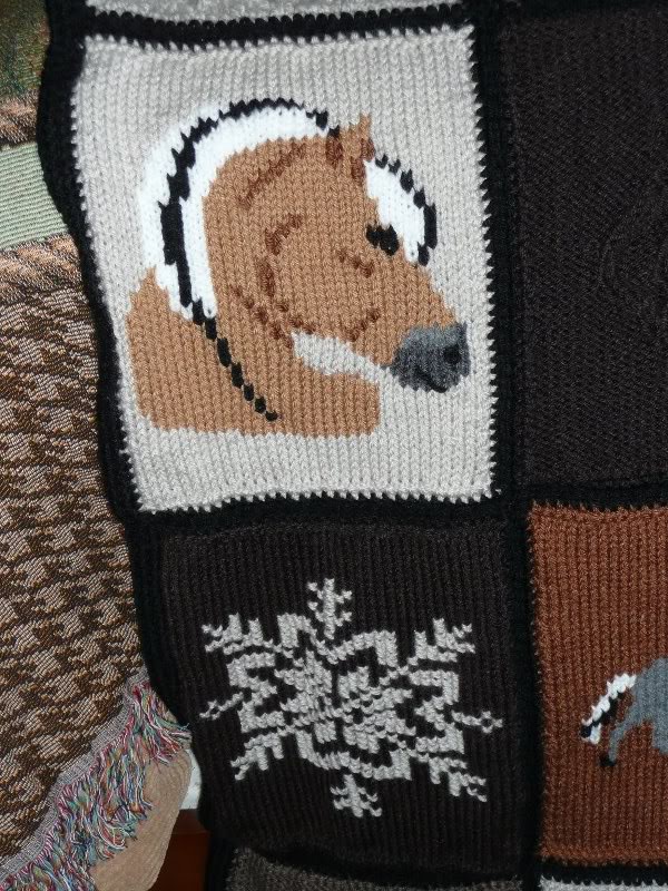 Fjord Afghan - 2 panel detail