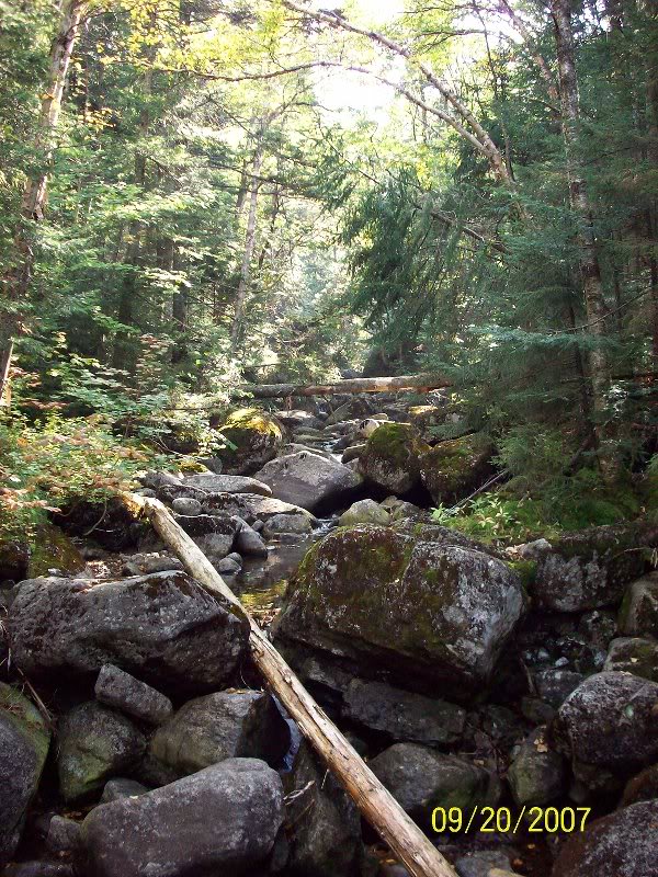 Phelps Brook from bridge at ~3000 ft.