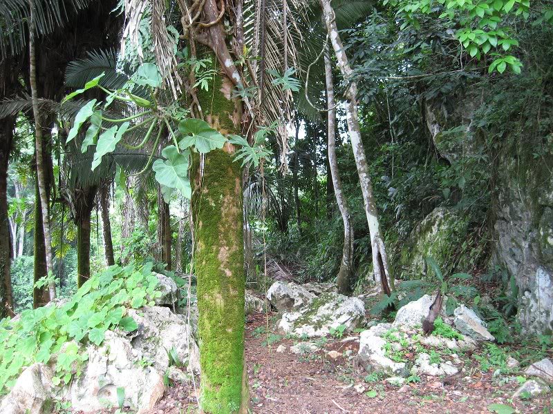 carnival legend sept 2007 199