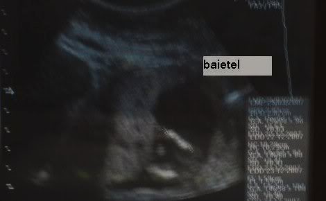 baietel 13s6z