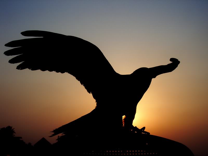 027-A HAWK BIRD SILHOUETTES *BY(amen2 006)