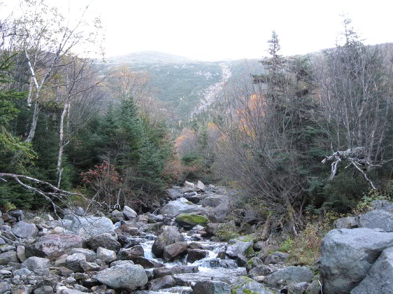 Ravine down from Monroe