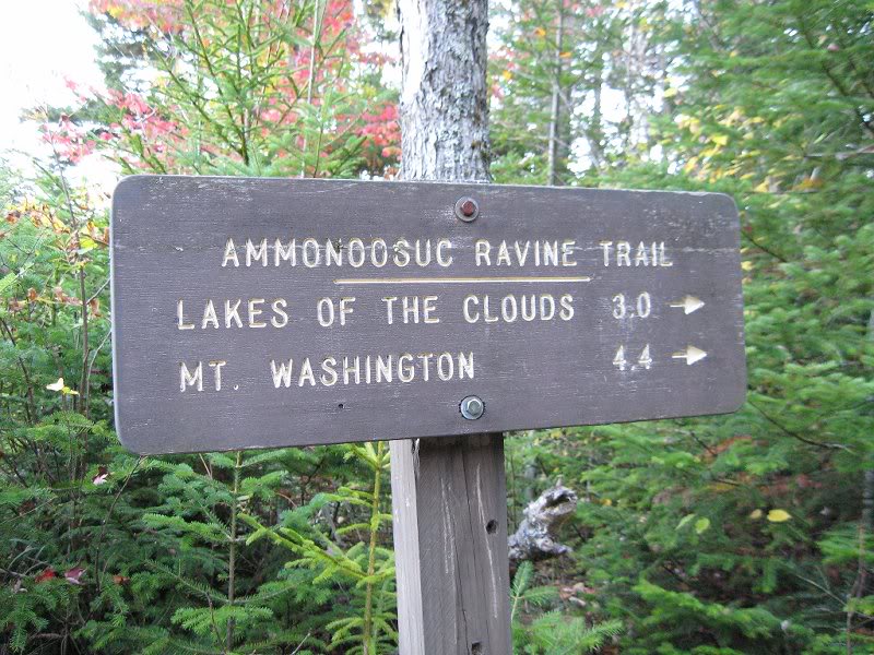 This way to start the day