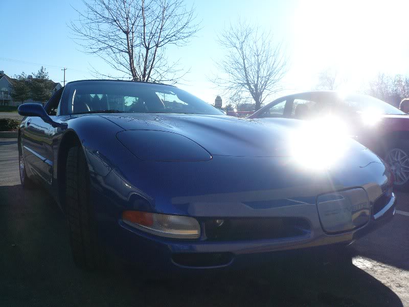 2003 vette