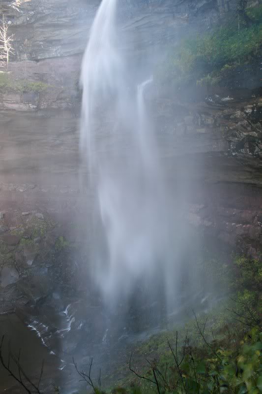 I was beginning to get drenched and retreated momentari...