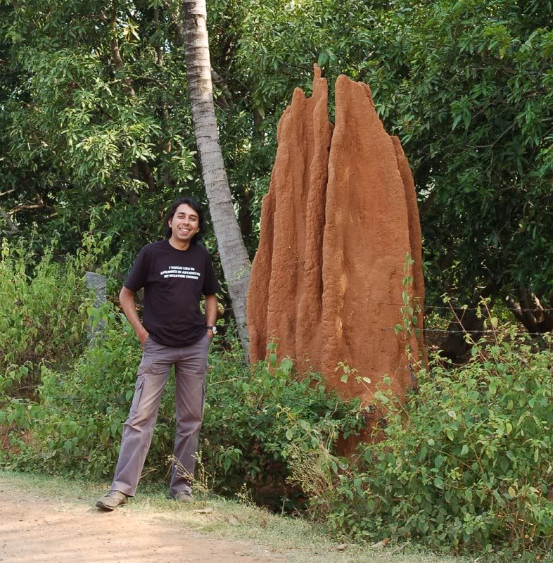 My home taller than me !!!