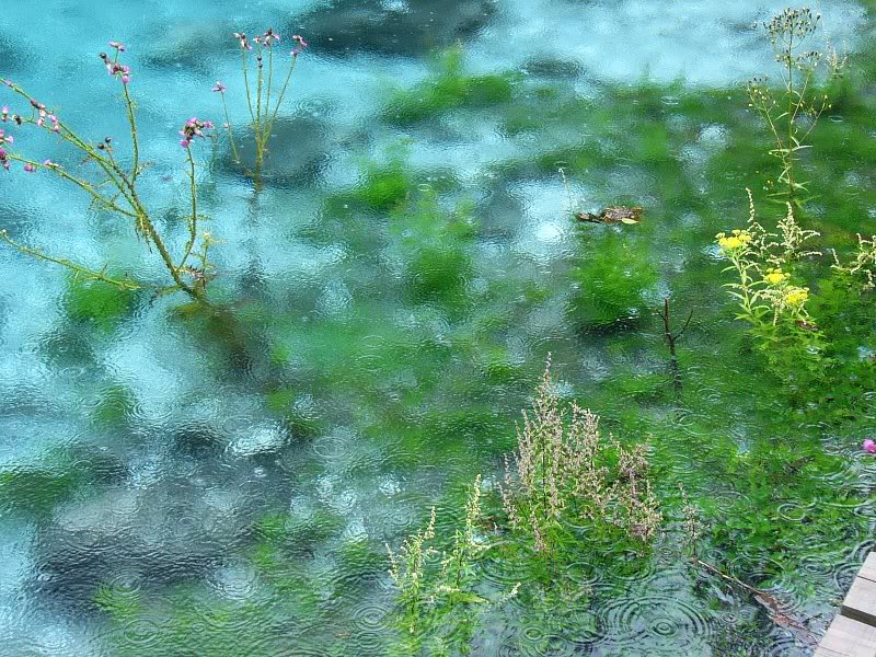 jiuzhaigou in the rain-05