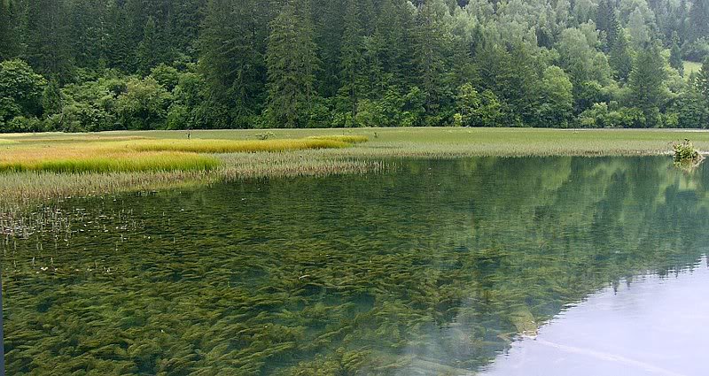 jiuzhaigou in the rain-08