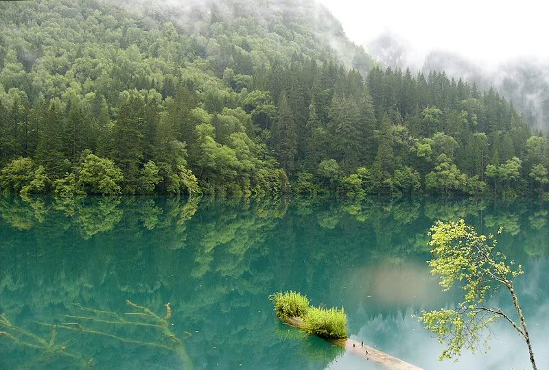 jiuzhaigou in the rain-10