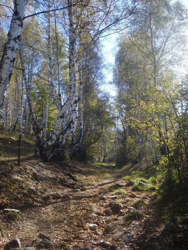 following a rocky path