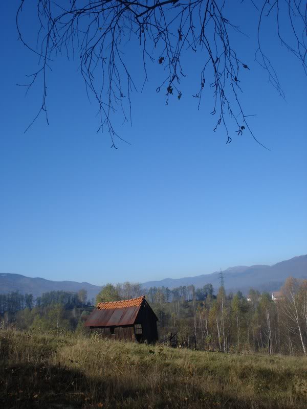 in the peace of the morning