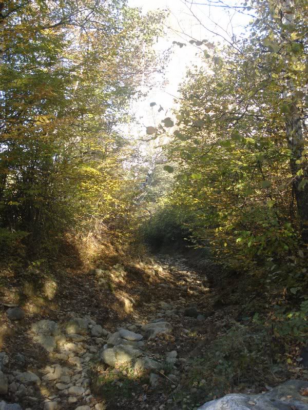 watch your steps.. he said