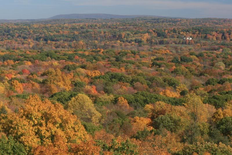 Distant view toward Stissing Mountain.