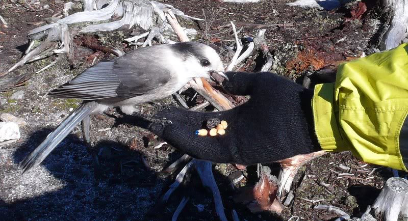 Marty gives a handout.