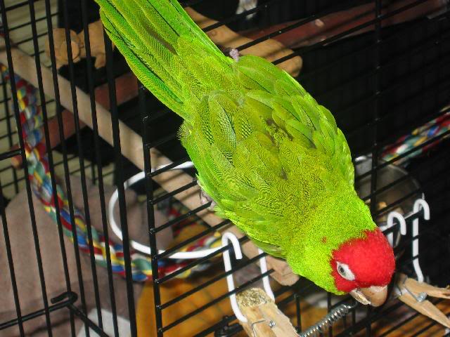 Don't even think about it!