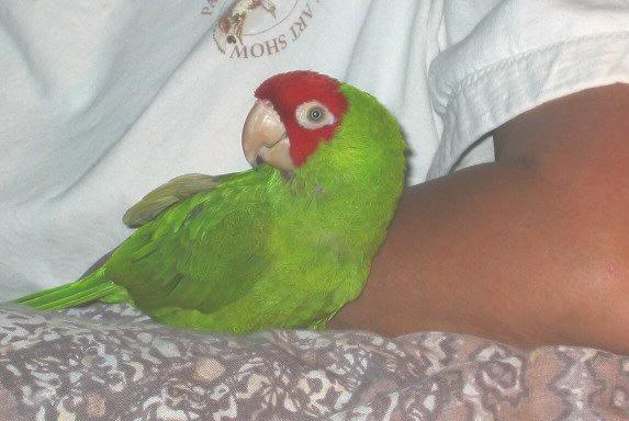 Hangin' out with Mom