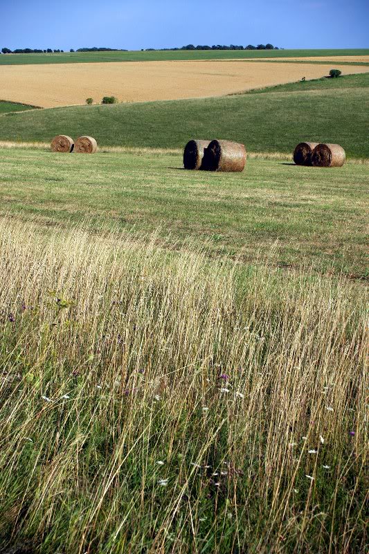 Wiltshire tranquillity, England
