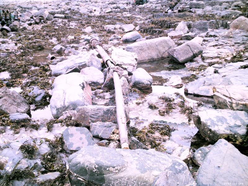 Prop shaft and engine.