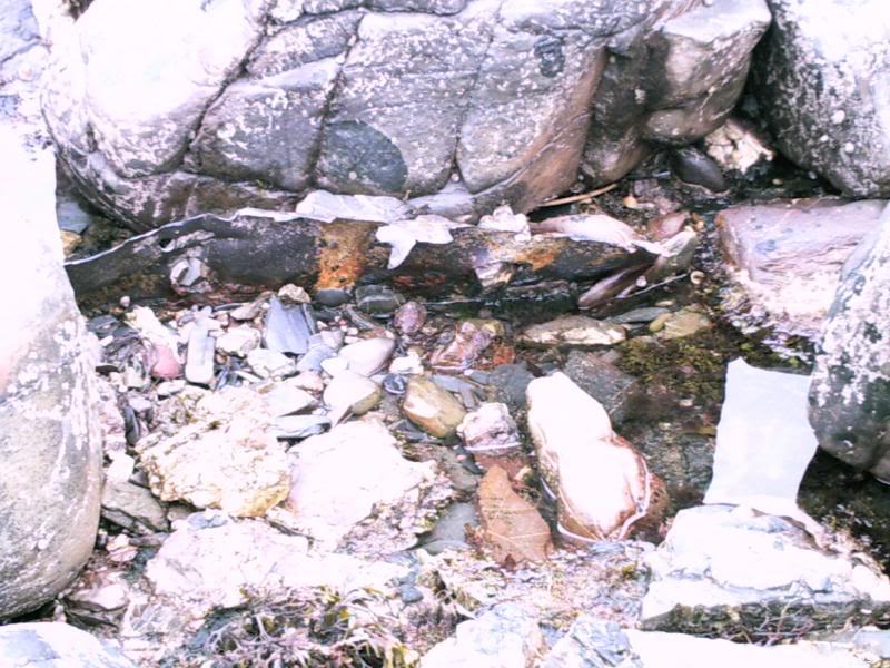 Remains amongst the rocks!