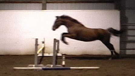 First Time Free Jumping!