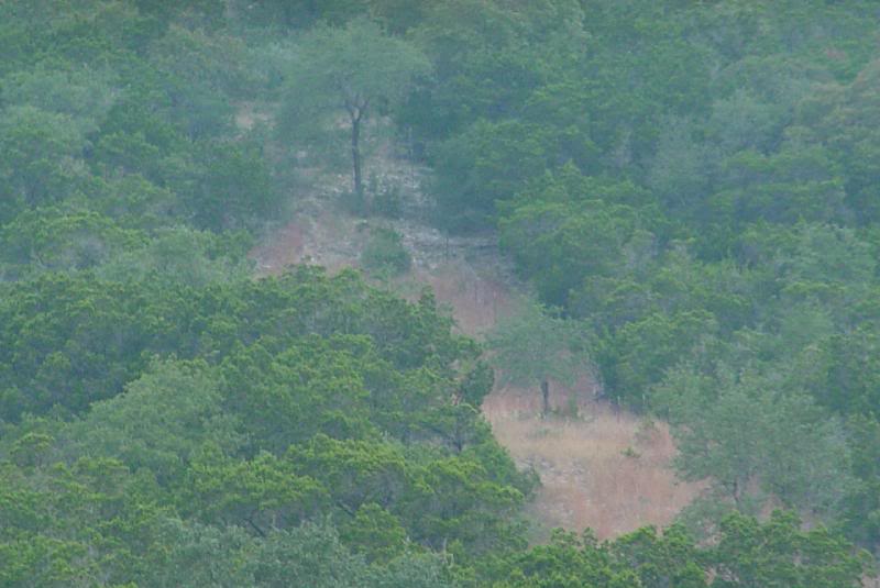 Opening Day - Bandera - 2007 012