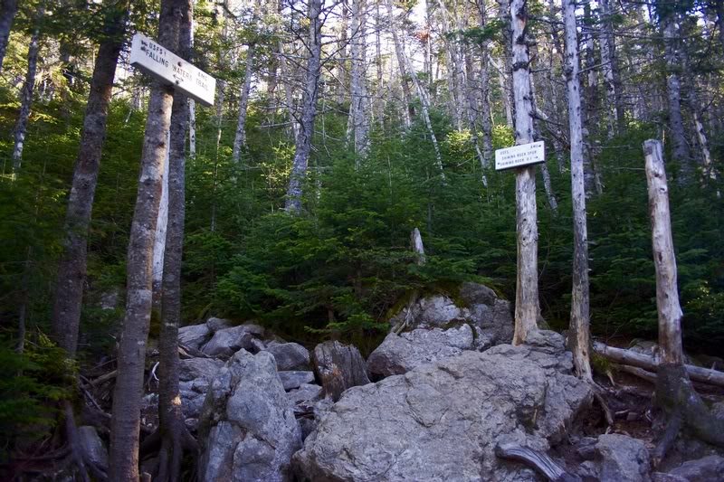 NConway-Oct-Nov -07_166