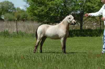 elegancer924_01 5_1027